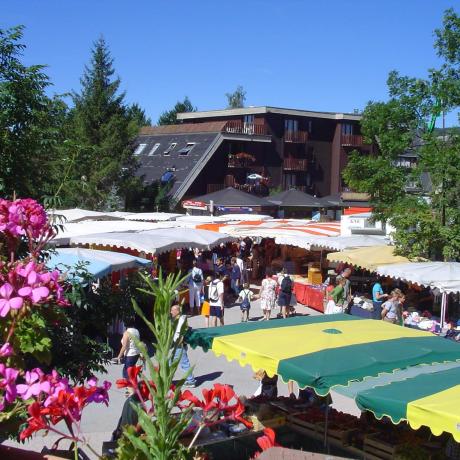 Marché Montclar - Marché Montclar