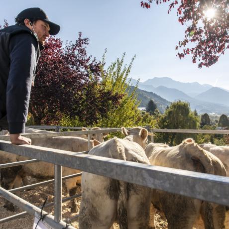 Foire d'octobre Seyne les Alpes - Foire d'octobre Seyne les Alpes