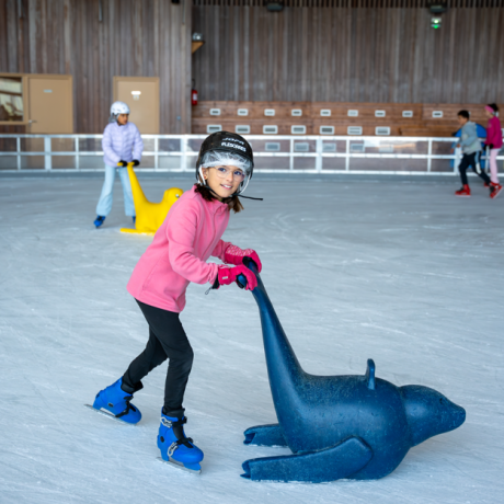 Jardin de glace à la patinoire_Les Orres