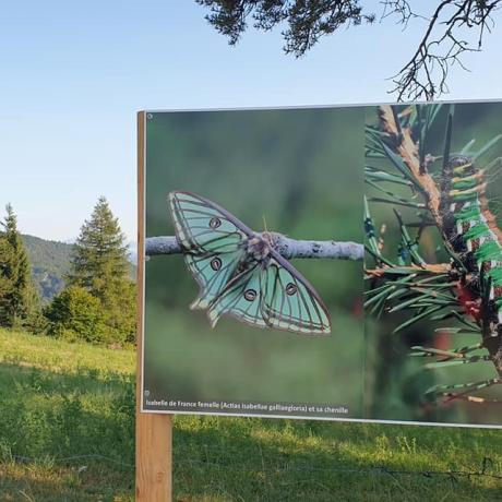 Exposition naturaliste en plein air - Expo naturaliste Roger Isoard