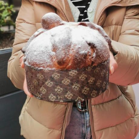 Vente de Pan de Muerto - Pan de Muerto