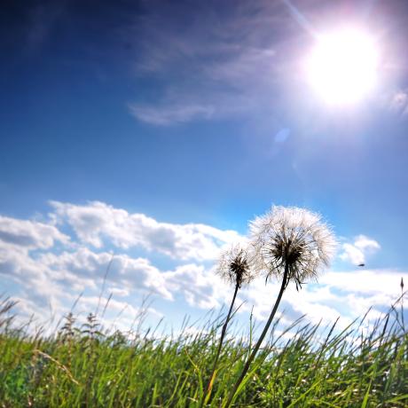 Conférence : Connaître le soleil_Les Orres - Conférence : Connaître le soleil_Les Orres