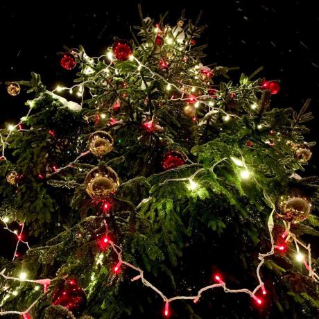 Féeries de Noël de Barcelonnette - Féeries de Noël de Barcelonnette