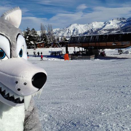 Mascotte - Mascotte