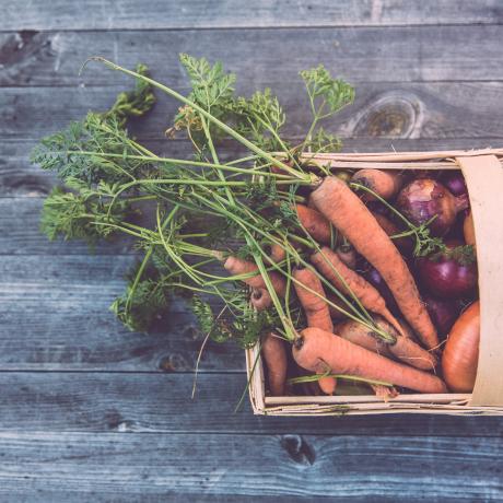 Réunion Sécurité Sociale de l'Alimentation à l’Alternateur_Seyne - Panier de légumes