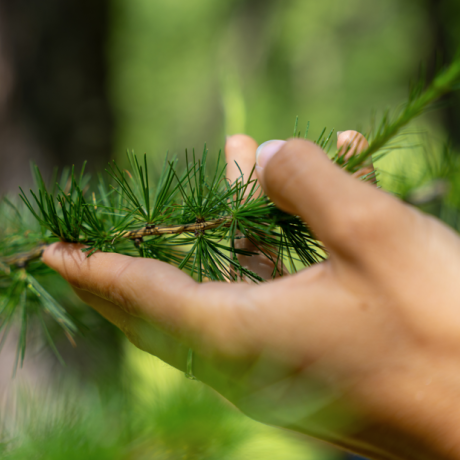 Pure Flow - Festival Sport & Bien-Être en Montagne_Les Orres