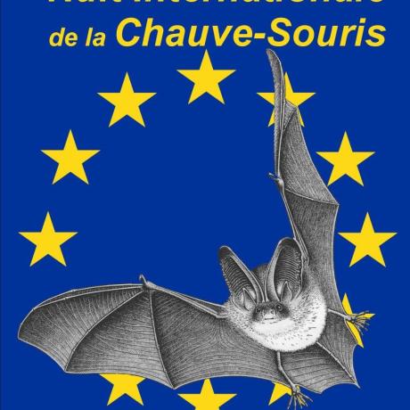 Nuit internationale de la Chauve-souris - Conférence - à la découverte des chauves-souris