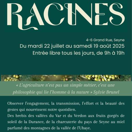 Exposition "Racines" :    œ  ' _Seyne - Affiche