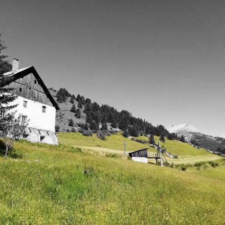 Rando curieuse : La saga de l'herbe_Arvieux