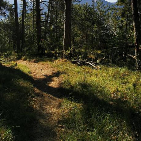 festival de la biodiversité - Auzet