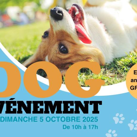 Dog Evènement 2025_Théus - Dog Evènement 2025_Théus