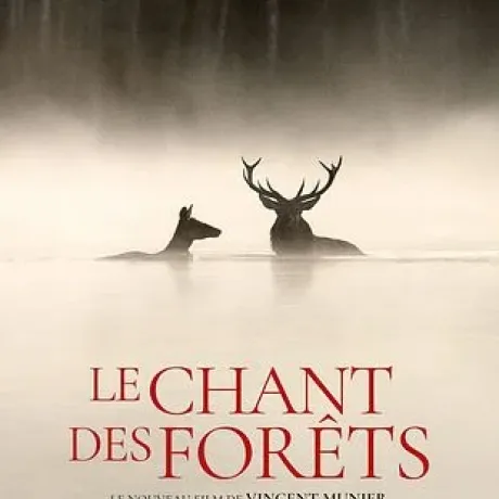 Cinéma : Le chant des forêts_Les Orres - Cinéma : Le chant des forêts_Les Orres