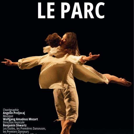 Projection d'un ballet de l'Opéra de Paris à la Micro-folie de Seyne_Seyne - affiche