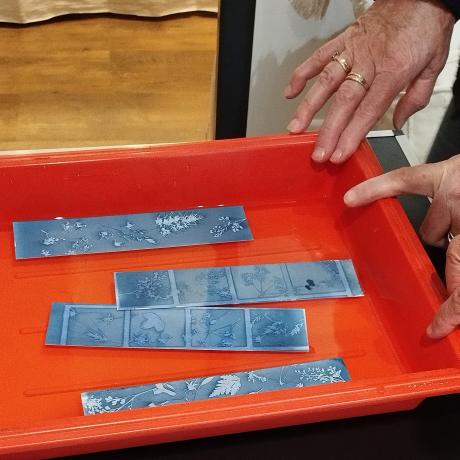 Atelier cyanotype - Atelier cyanotype