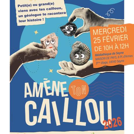 Amène ton caillou - affiche