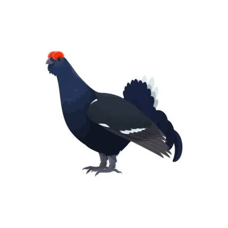 Atelier créatif "les oiseaux de la montagne - Café des arts_Montclar - Atelier créatif "les oiseaux de la montagne"