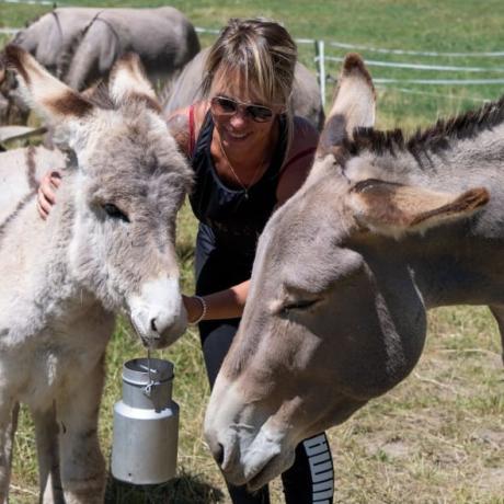 Journées du patrimoine de Pays : tour et détour