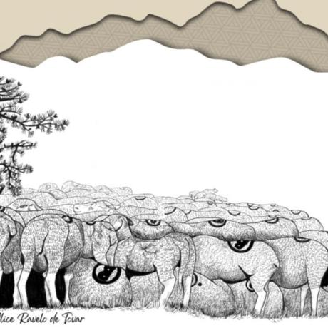 Inauguration de l'exposition « Où vas-tu Berger(ère) ? Transhumance et société » - La Condamine-Châtelard