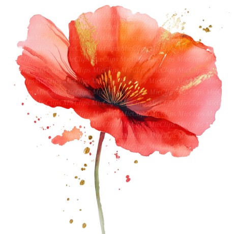 atelier aquarelle fleurs d'été EMB - atelier aquarelle fleurs d'été EMB