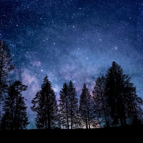 Rendez-vous de l'été : Une nuit dans la nature - Les chauves-souris_Bréziers