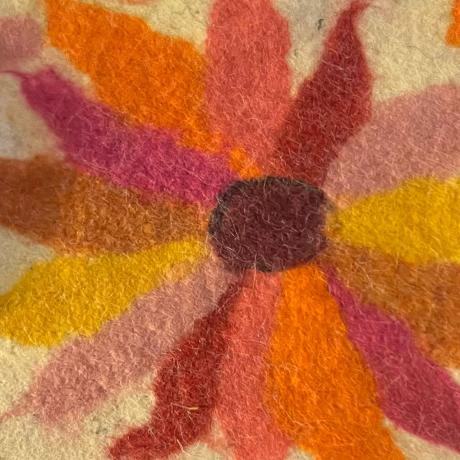 Week-end laine - Méolans-Revel