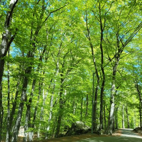 karoaké ls rimachays de pontis SLL - karoaké ls rimachays de pontis SLL