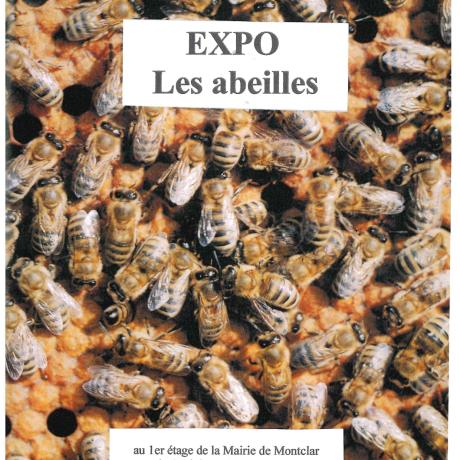exposition "les abeilles"_Montclar