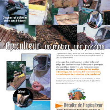Exposition "les abeilles"_Montclar - md04