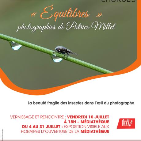 PHOTOGRAPHIES DE PATRICE MILLET - PHOTOGRAPHIES DE PATRICE MILLET